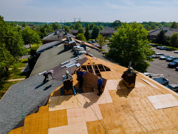 Trusted Storm Damage Roof Repair service in Harrellsville, NC - Brentwood Metal Roofing